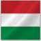 Hungarian language | Hungarian translation service | RIX Translation