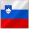 Slovenain language | Slovenian translation service | RIX Translation